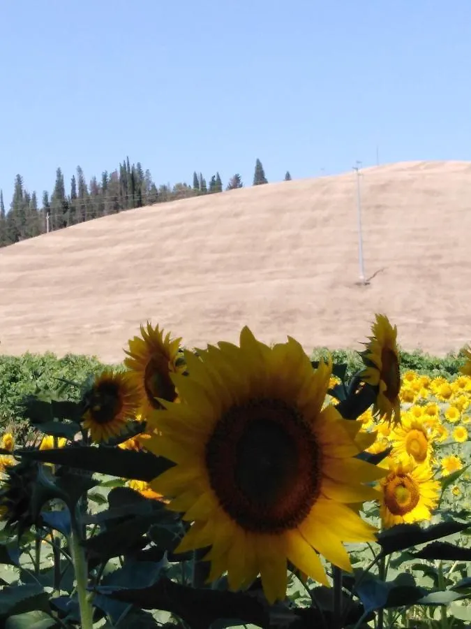 לינה וארוחת בוקר קסטלפיורנטינו Villa Niccoli